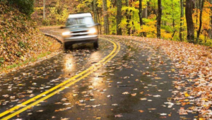 Fall Leaves and Personal Injuries: The Hidden Dangers of Wet Leaves
